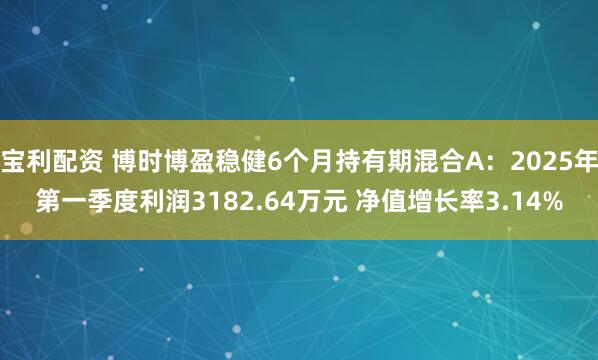 宝利配资 博时博盈稳健6个月持有期混合A：2025年第一季度利润3182.64万元 净值增长率3.14%